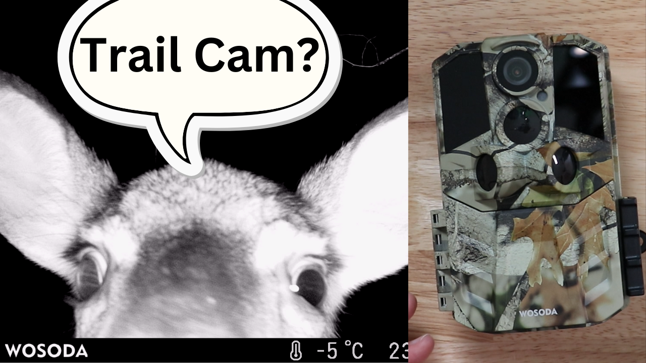 Watch WASODA G300 Trail Camera - Overview on Amazon Live