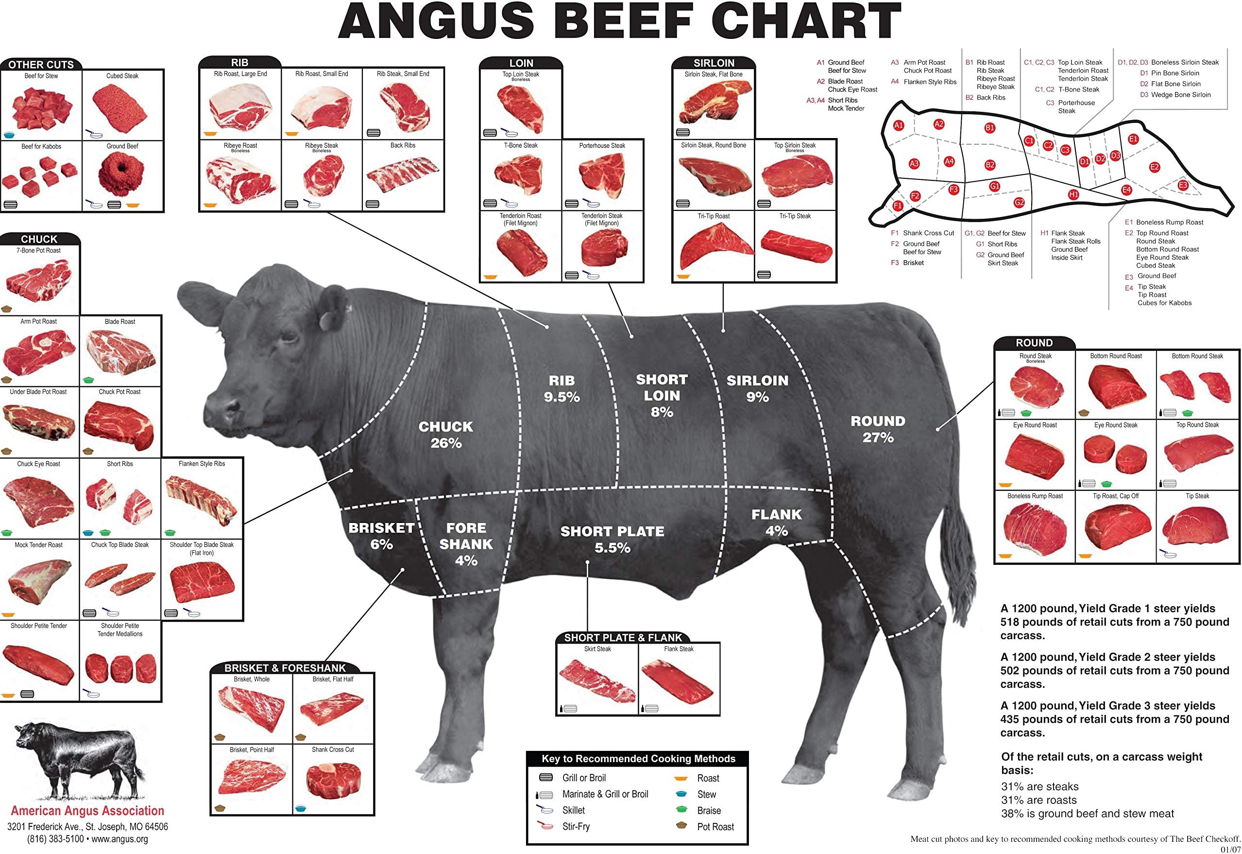 Iconic Arts Angus Beef Cuts Of Meat Butcher Chart Poster 18x24