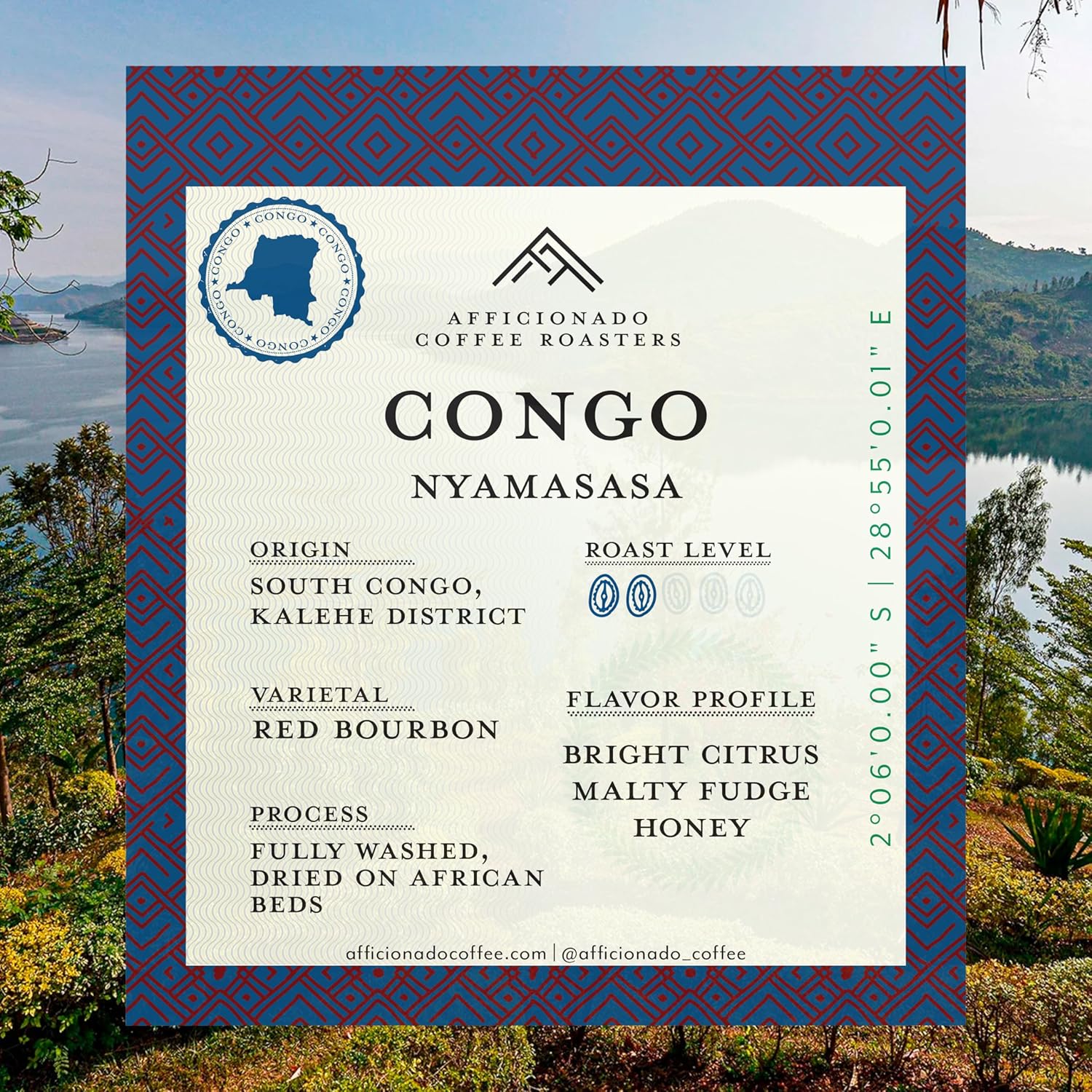 Afficionado Coffee Roasters - Congo Nyamasasa | 12oz Whole Bean Coffee | Medium Roast | Single Origin