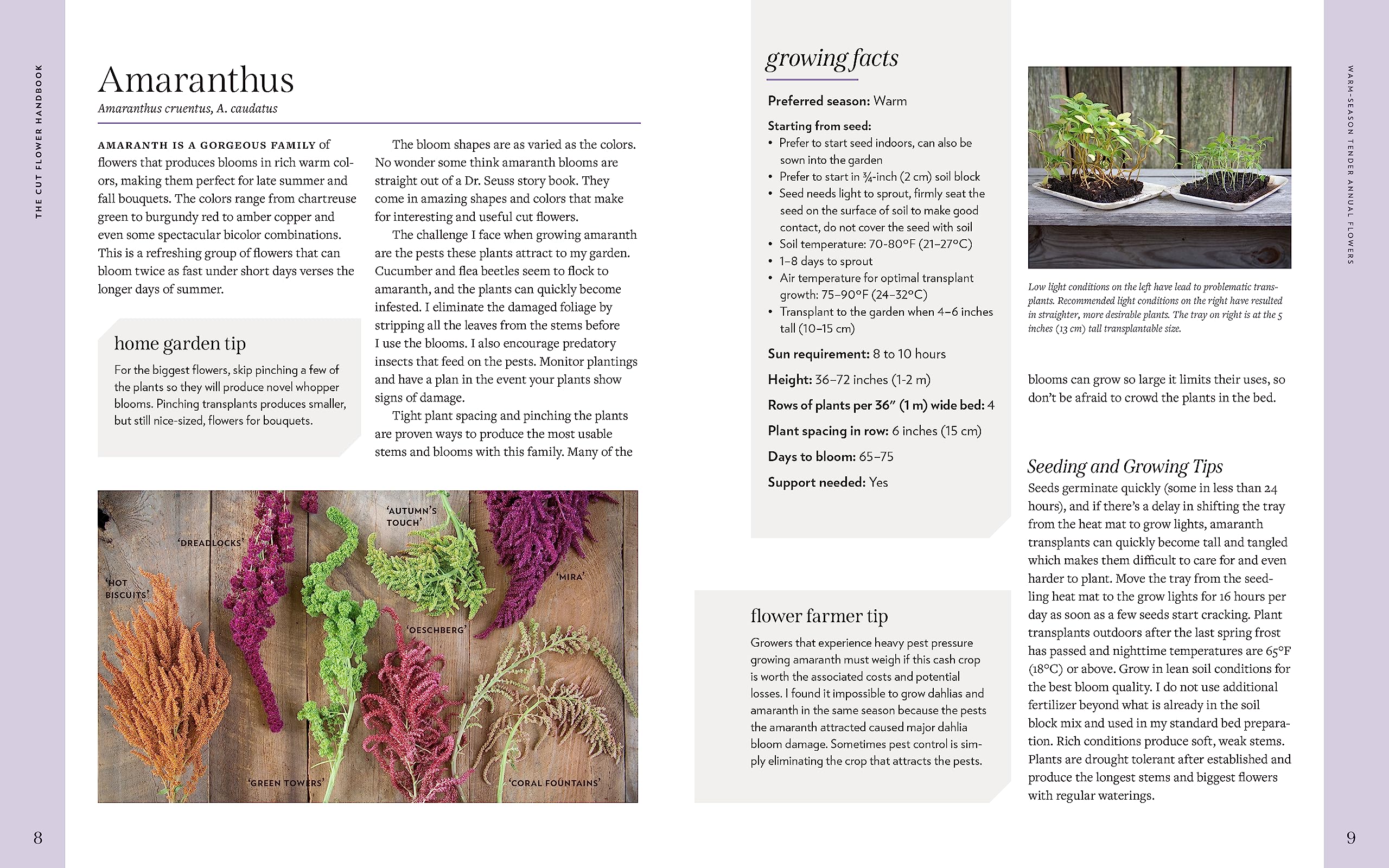 Cut Flower Handbook: Select, Plant, Grow, and Harvest Gorgeous Blooms