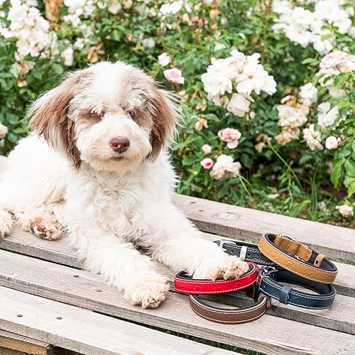 Miniatura 3 de Filbert Collar de cuero para perro, collar de cuero genuino para perros medianos, collares de cuero en relieve con hebilla, collar de cuero de grano