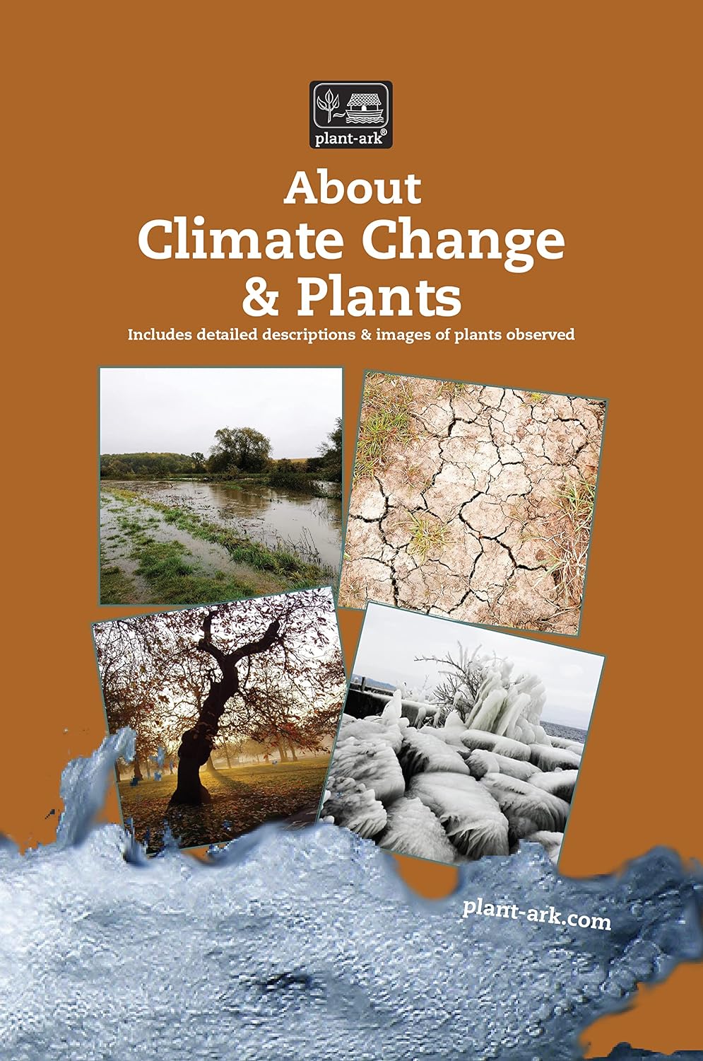 About Climate Change & Plants: Take a walk through the climate regions of the world