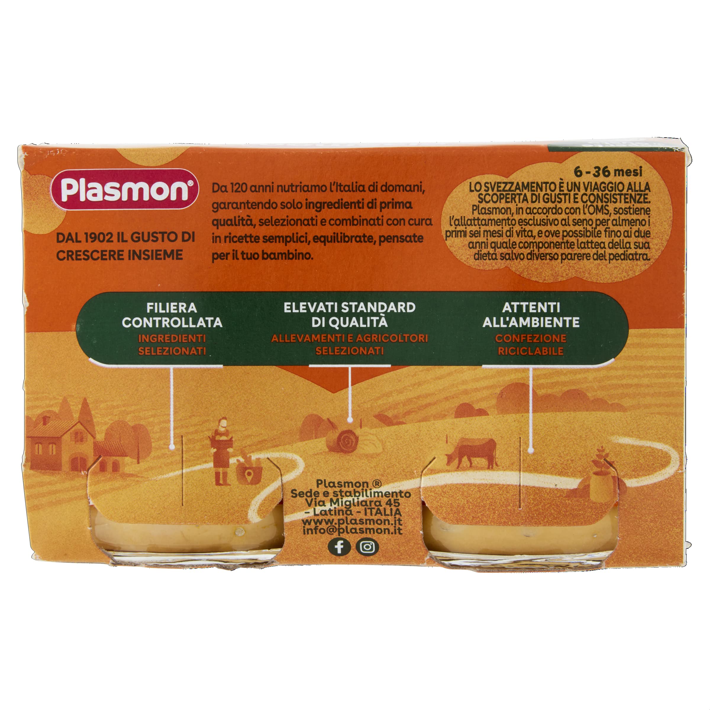 Plasmon Omogeneizzato Scoperte di Gusto Tacchino e Patate Dolci, 2x120g (12 Confezioni)