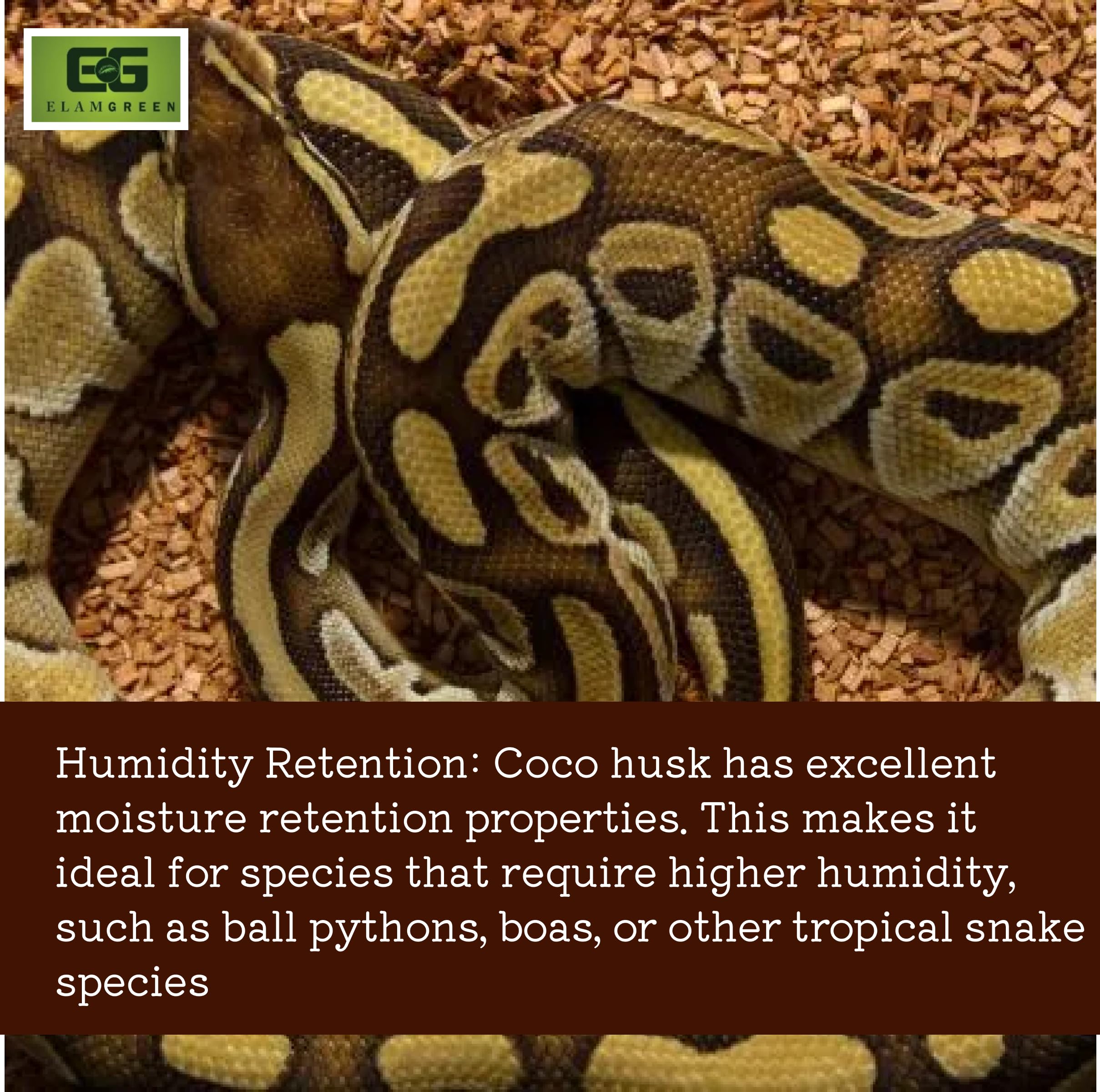 Elamgreen Coco Husk Block | Natural Bedding for Snakes, Reptiles & Small Pets (4.5kg)