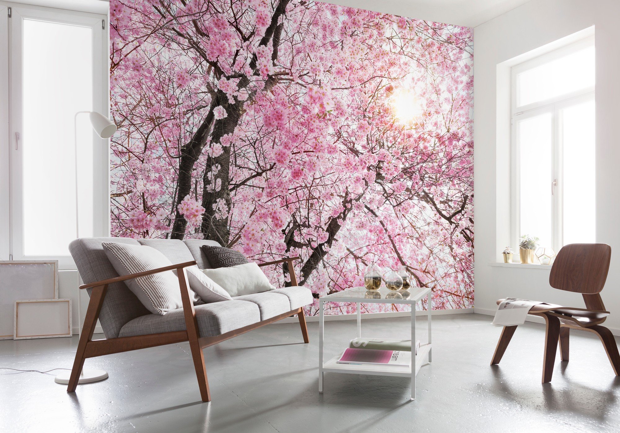 Komar XXL4-046 Bloom Cherry Blossom Scenic Wallpaper Wall Mural-(368 x 248 cm), White, Pink