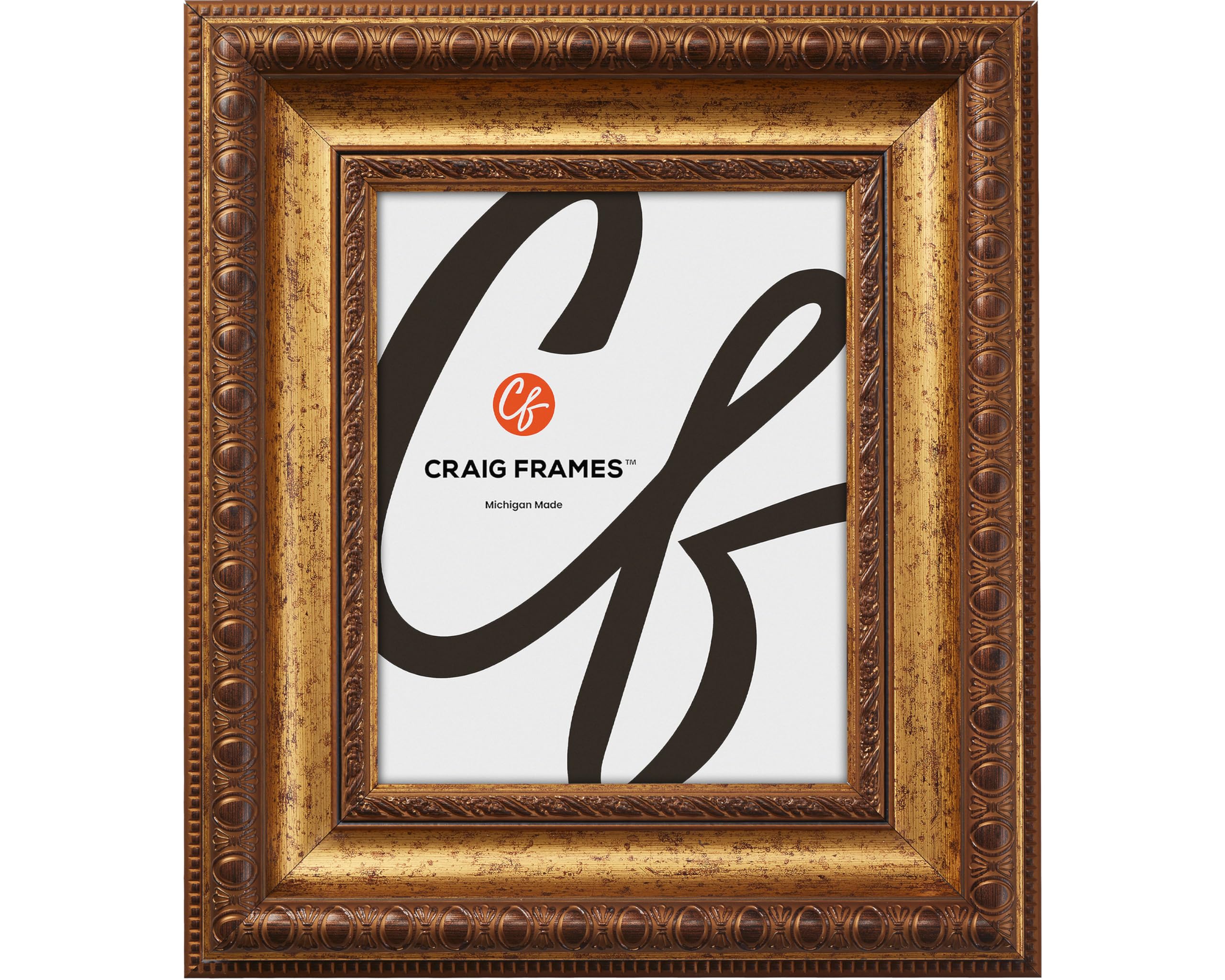 Amazon.com - Craig Frames 16x20 Picture Frame – Aged Gold Arqadia