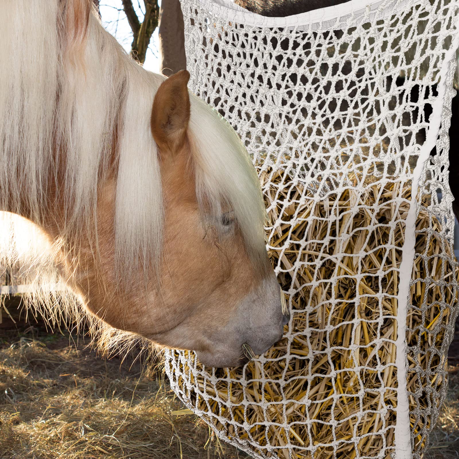 Filet à Foin à Alimentation Lente Pour Cheval/chèvre - 2 Pièces - Ralentit La Consommation