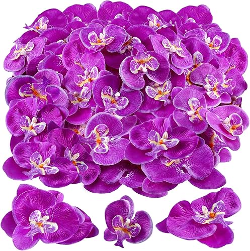 Janinka 80 piezas de orquídea artificial Phalaenopsis flores de seda orquídeas falsas flores de orquídea falsa flores de orquídea mariposa cabezas