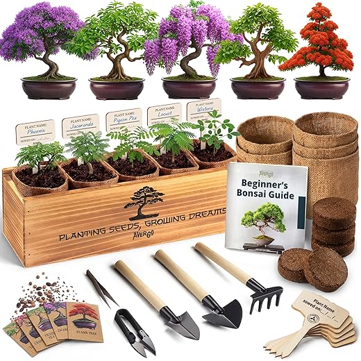 AVERGO Bonsai Tree Kit Deluxe - 5X Unique Japanese Bonzai Trees | Complete Indoor Bonsai Starter Kits from Seeds to Trees – DIY Gardening Gifts for Mother, Women & Men