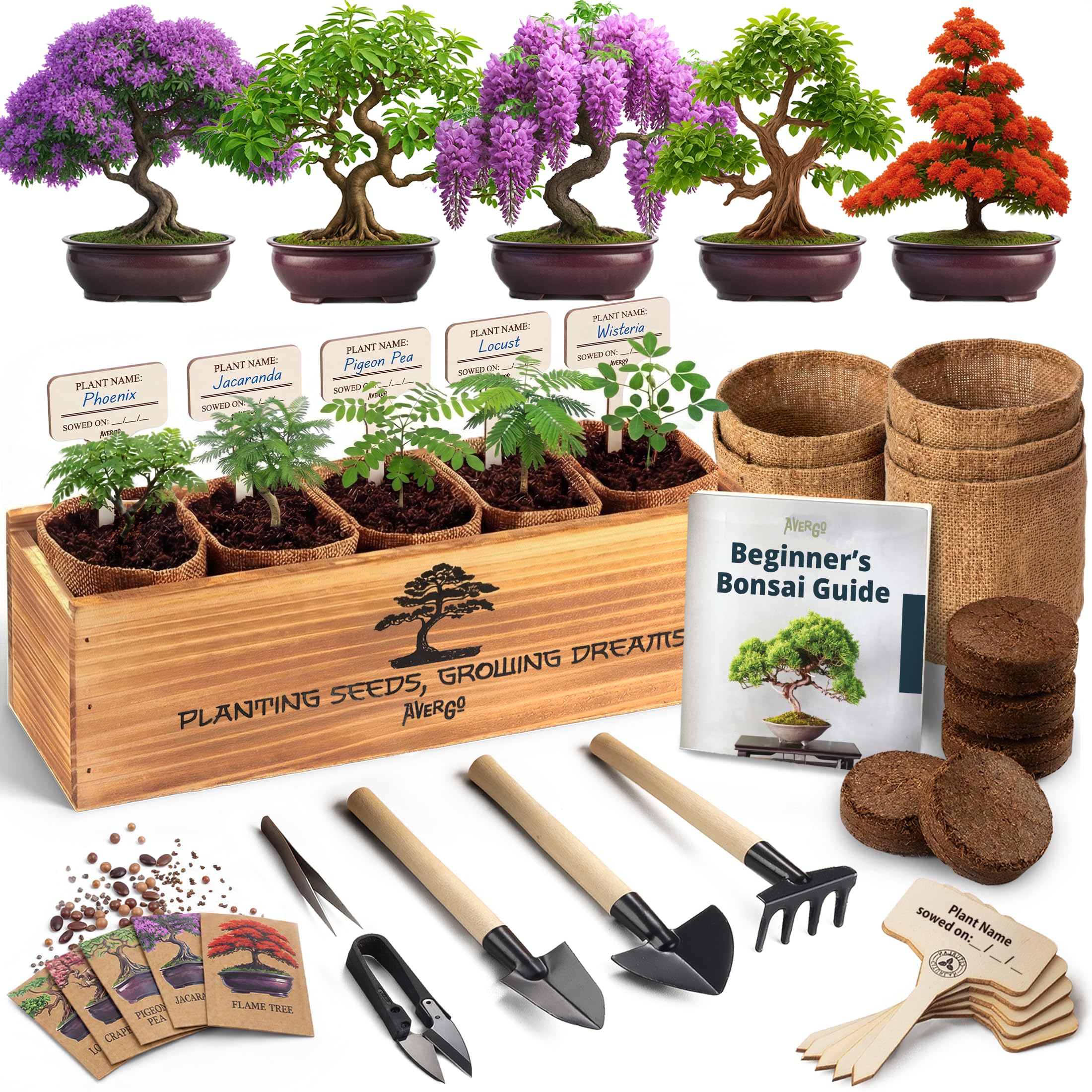 AVERGO Deluxe 5X Bonsai Tree Kit