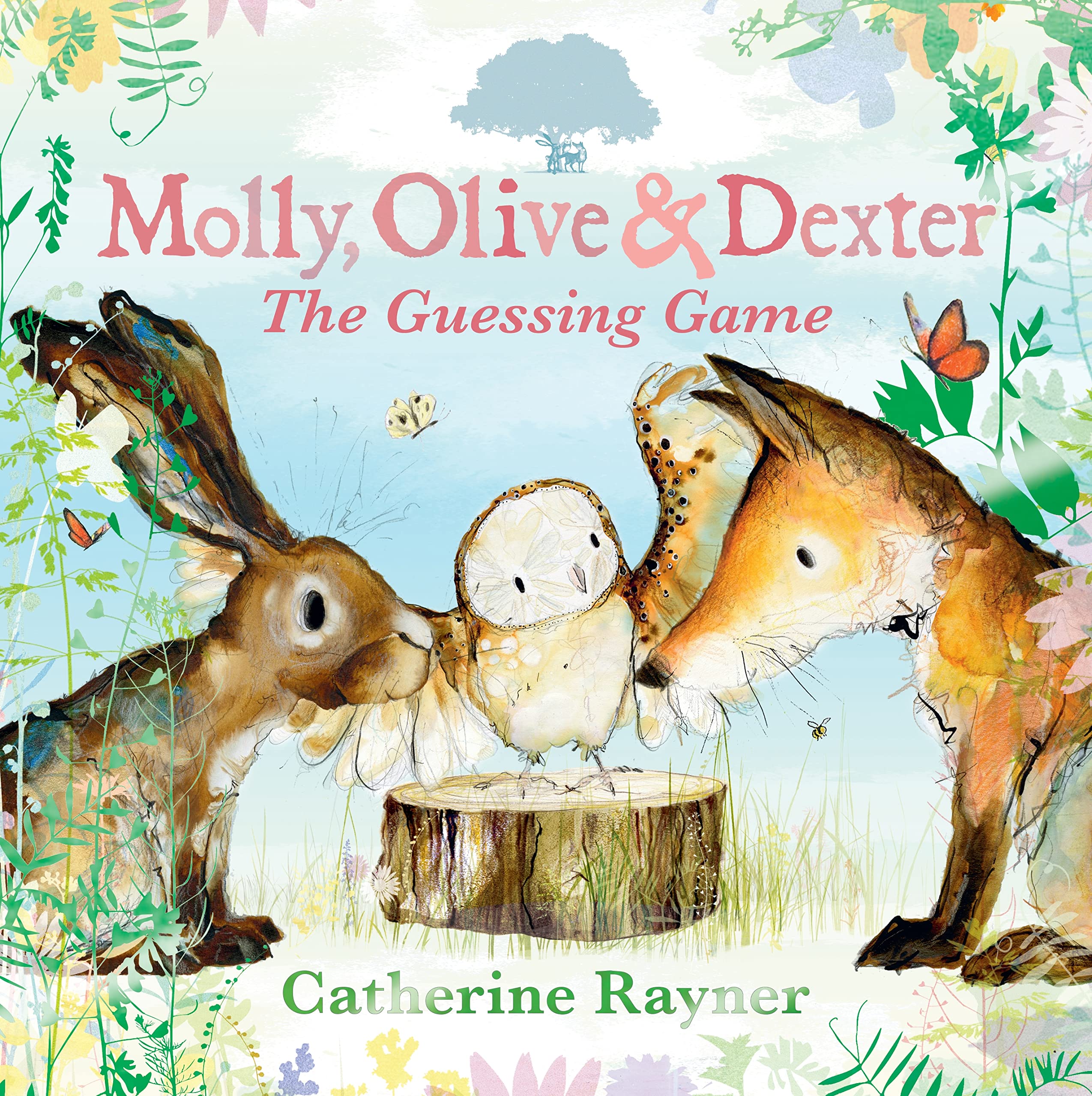 Molly, Olive and Dexter: The Guessing Game by Catherine Rayner (Hardback Book)