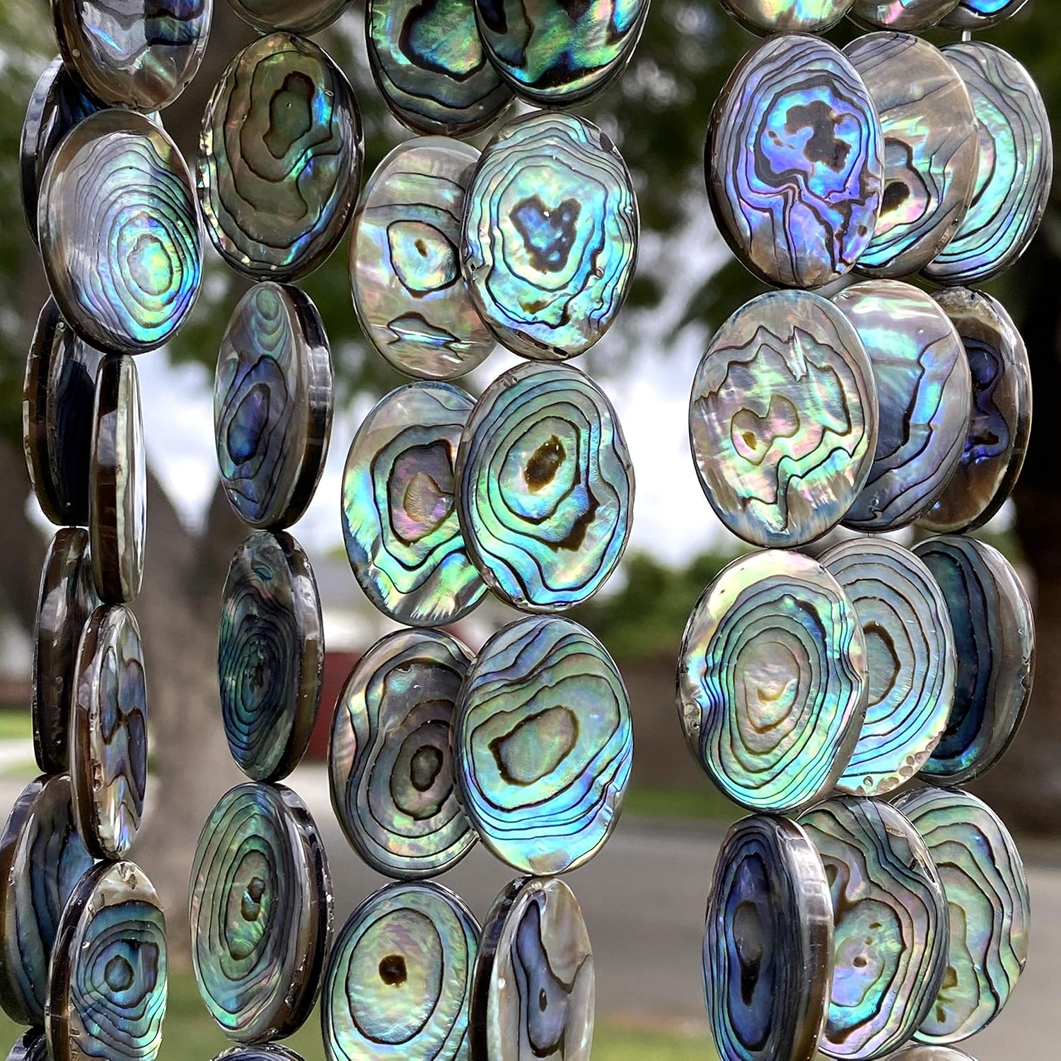 ABCGEMS 22Pcs AAA Abalone Paua Shell Beads from Coastal New Zealand (Rich Iridescent Depth) Symmetrical Double-Sided Matrix Pattern - Mirror-Polished - Full Strand - Oval 13X18mm
