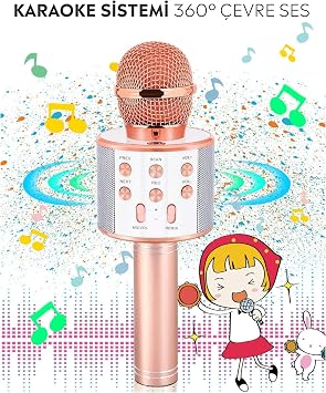 Babilden C-8501 Karaoke Mikrofon Bluetooth USB & TF & Aux (Rosegold)