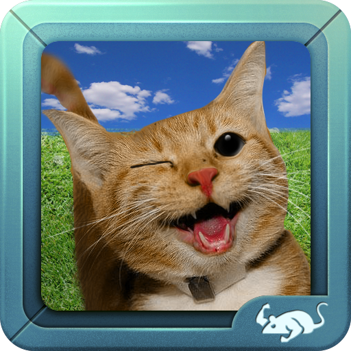 Cat Simulator 2015
