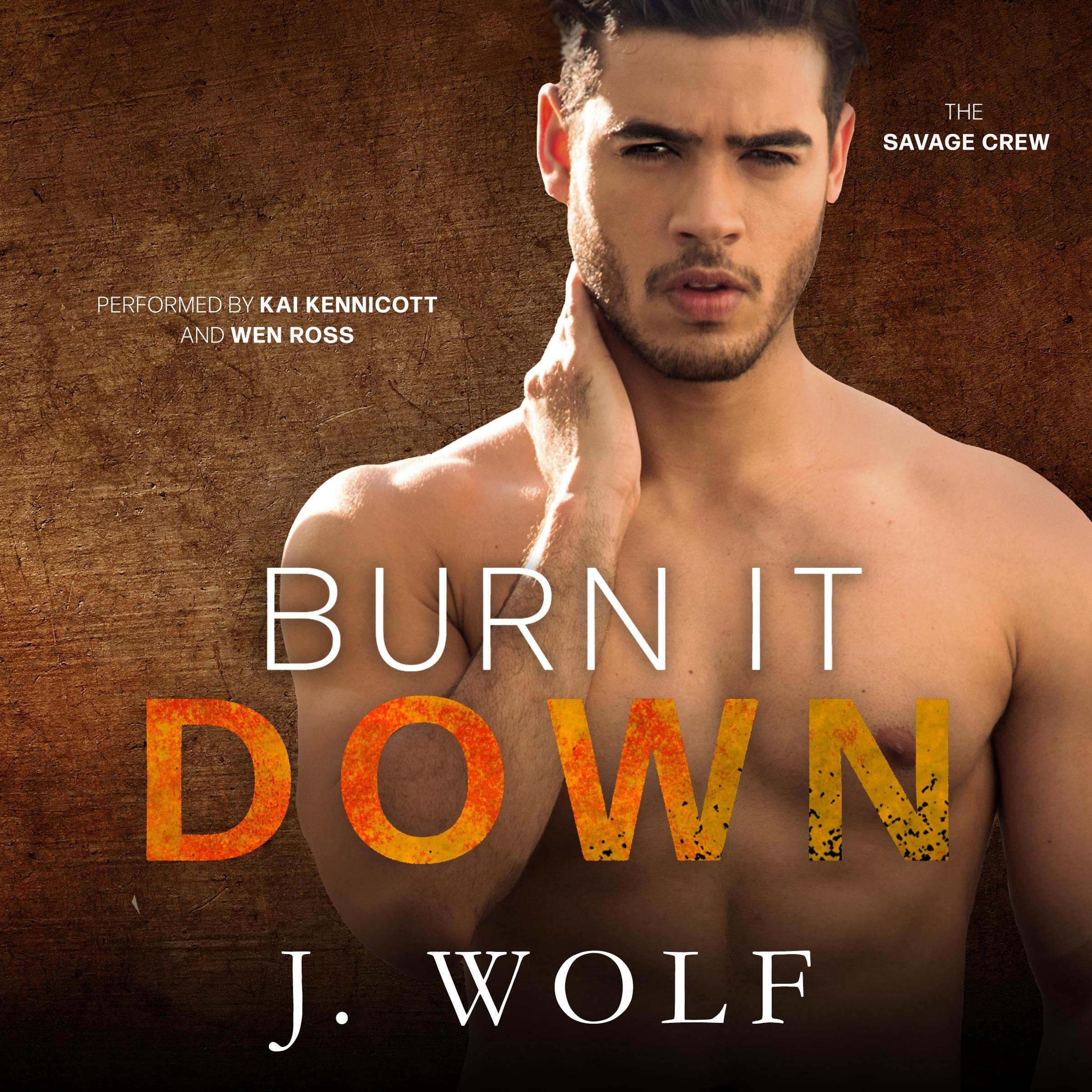 Cover art for Burn It Down