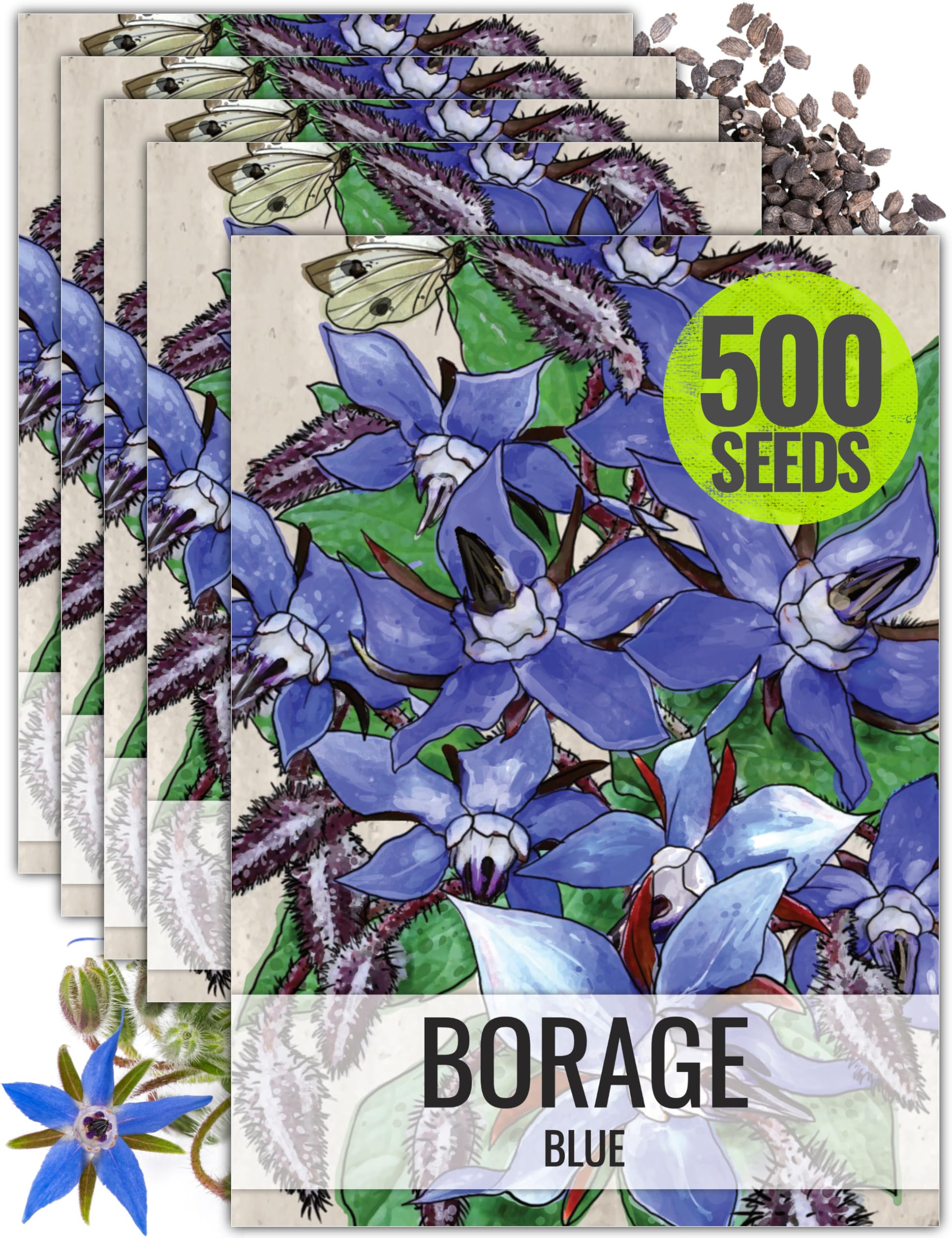 Seed Needs Borage Seeds