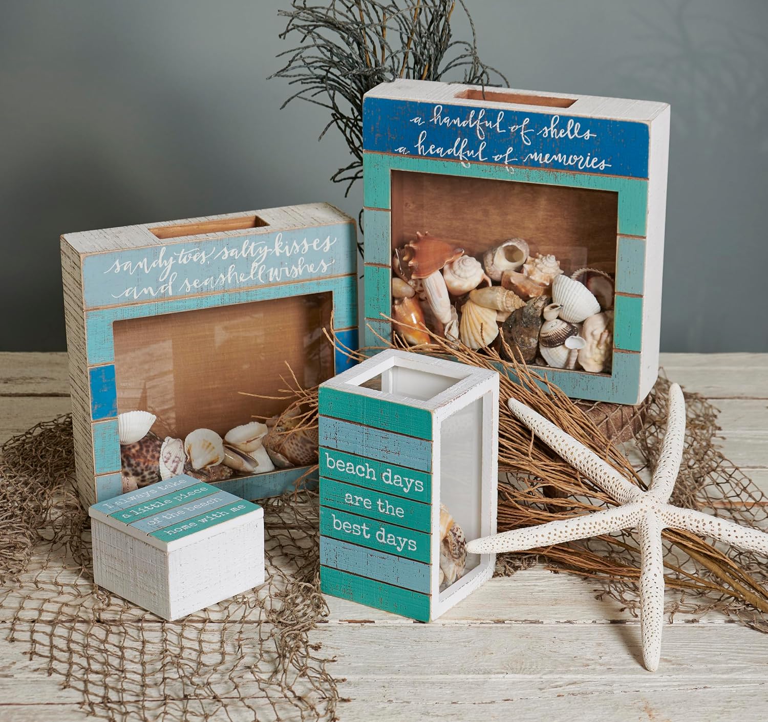 Primitives by Kathy Seashell Holder - Coastal Decor, Glass Display, Treasure Chest, Room and Bedroom Decor image 2