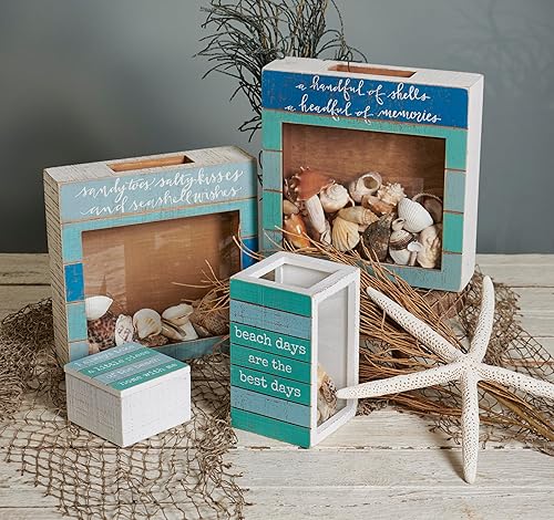 Miniatura 2 de Primitives by Kathy Soporte para conchas marinas, decoración costera, exhibición de vidrio, cofre del tesoro, decoración de habitación y dormitorio