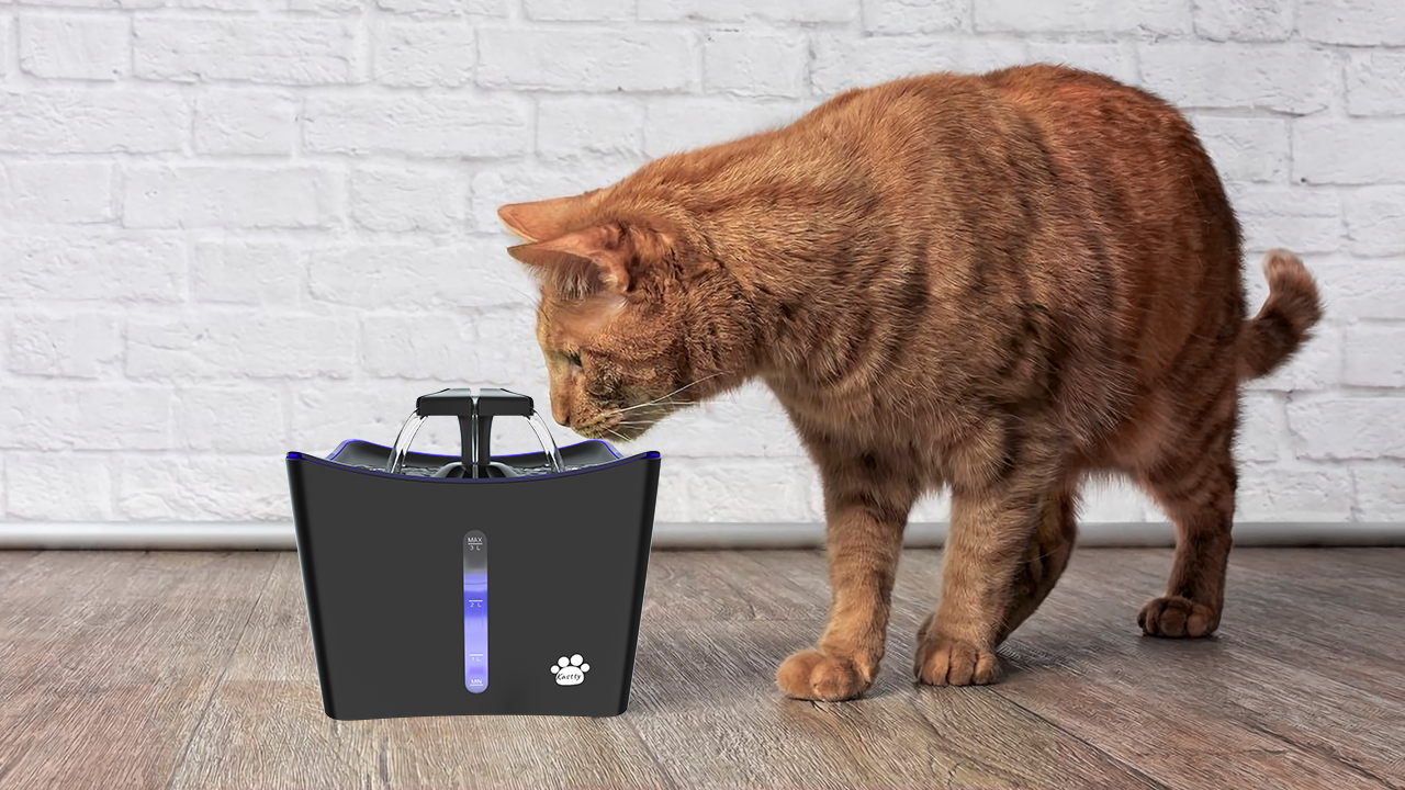 Cat Water Fountain, Whisper Quiet 101oz Cat Fountain Pet Water Fountain, Cat Drinking Bowl, Water Fountain for Cats… - Image 7