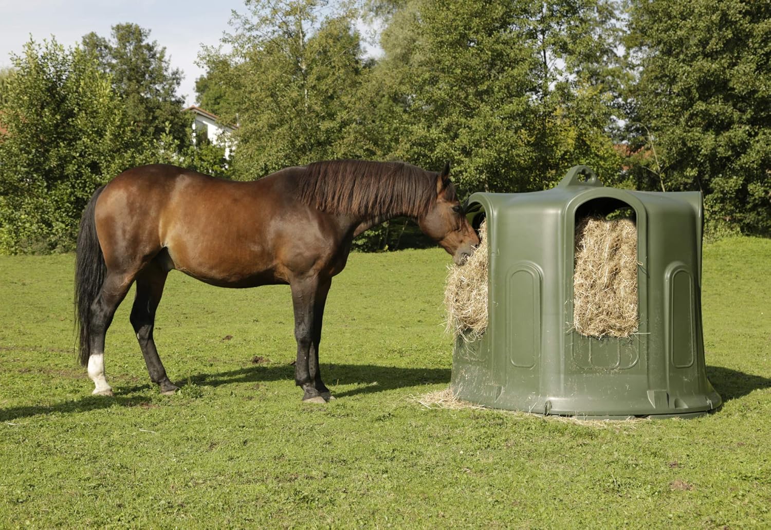 Cattle / Horse Hay Bell