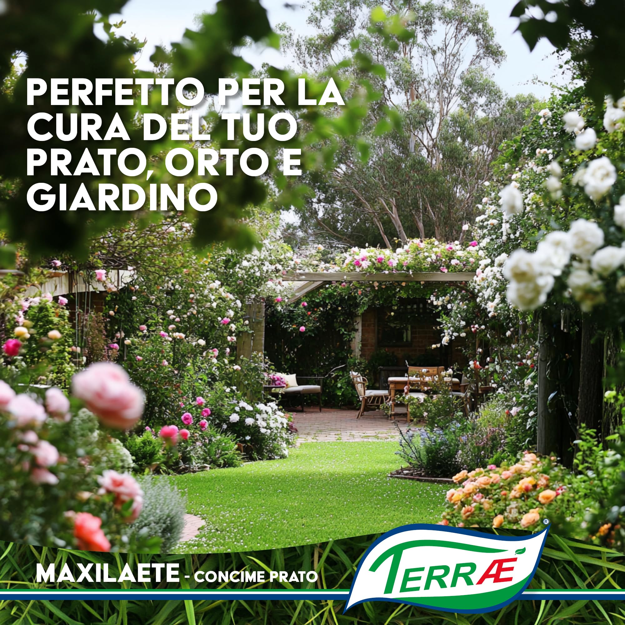 Concime Prato Estate 5 KG - 165m² | Effetto Prato Inglese | Concime Granulare Lenta Cessione per Tappeto Verde Rigoglioso | Fertilizzante Prato Erboso con Antimuschio per Erba Sana | NPK