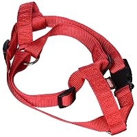 Nobby Pettorina per Cani Classic