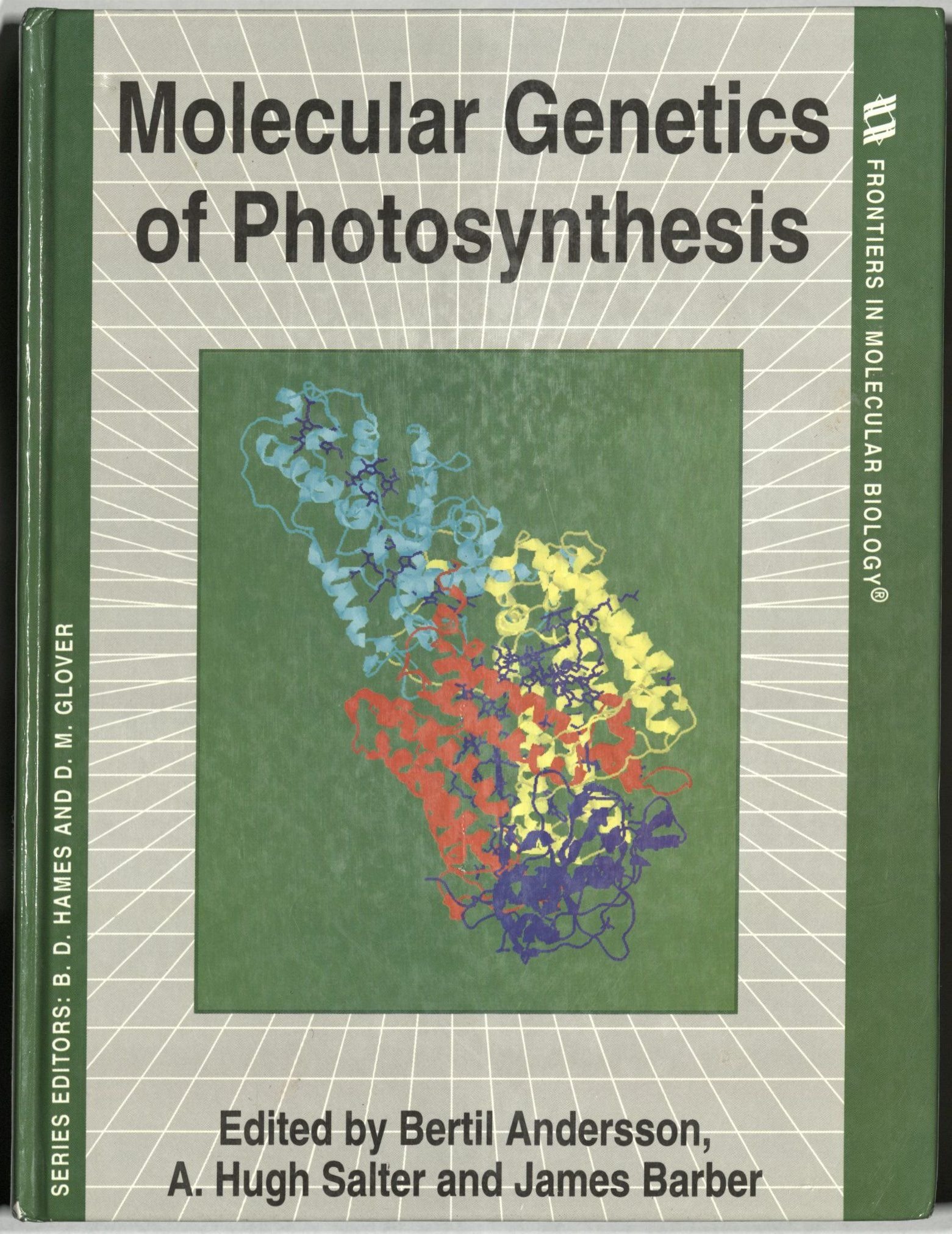 Molecular Genetics of Photosynthesis: Frontiers in Molecular Biology: No.14