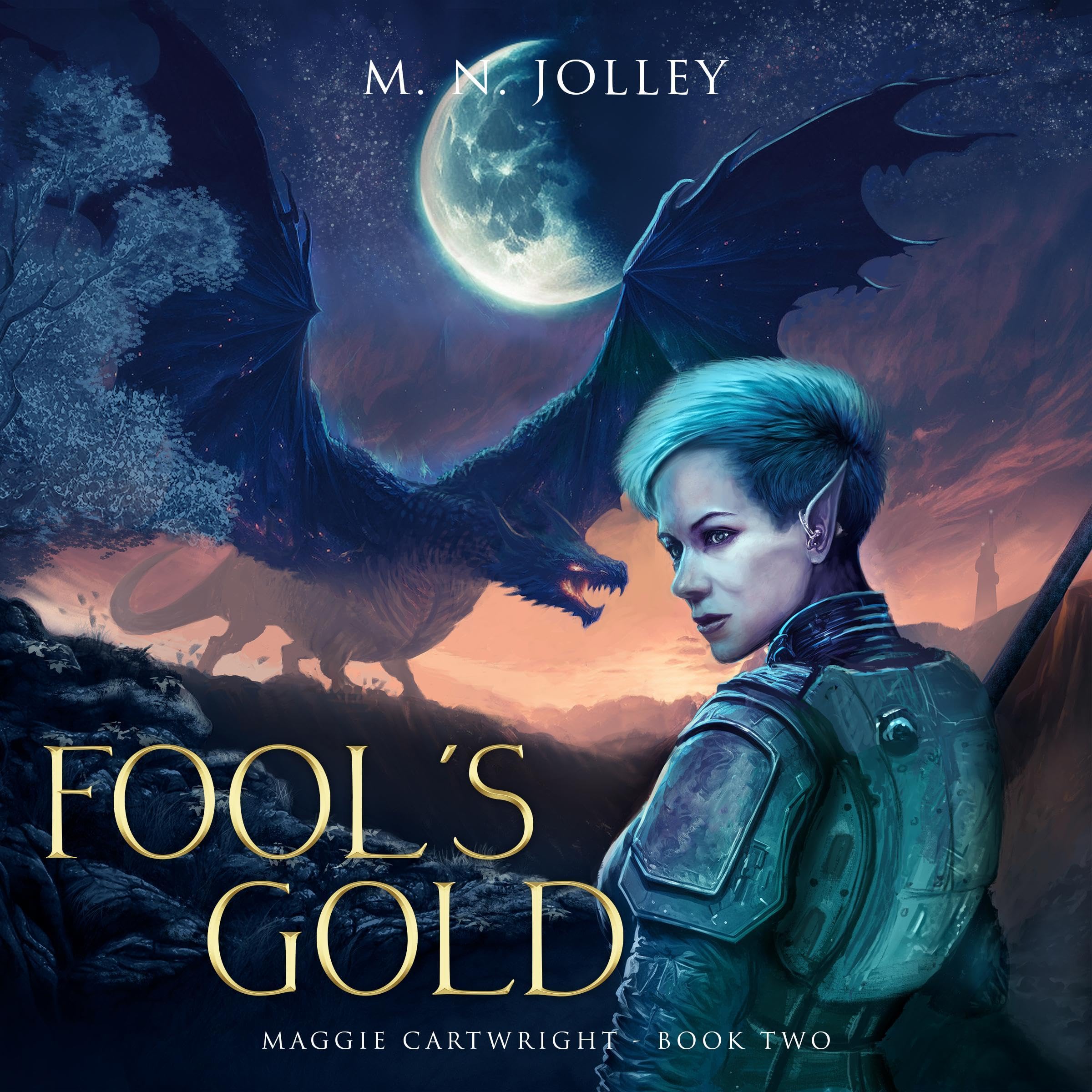 Cover art for Fool's Gold