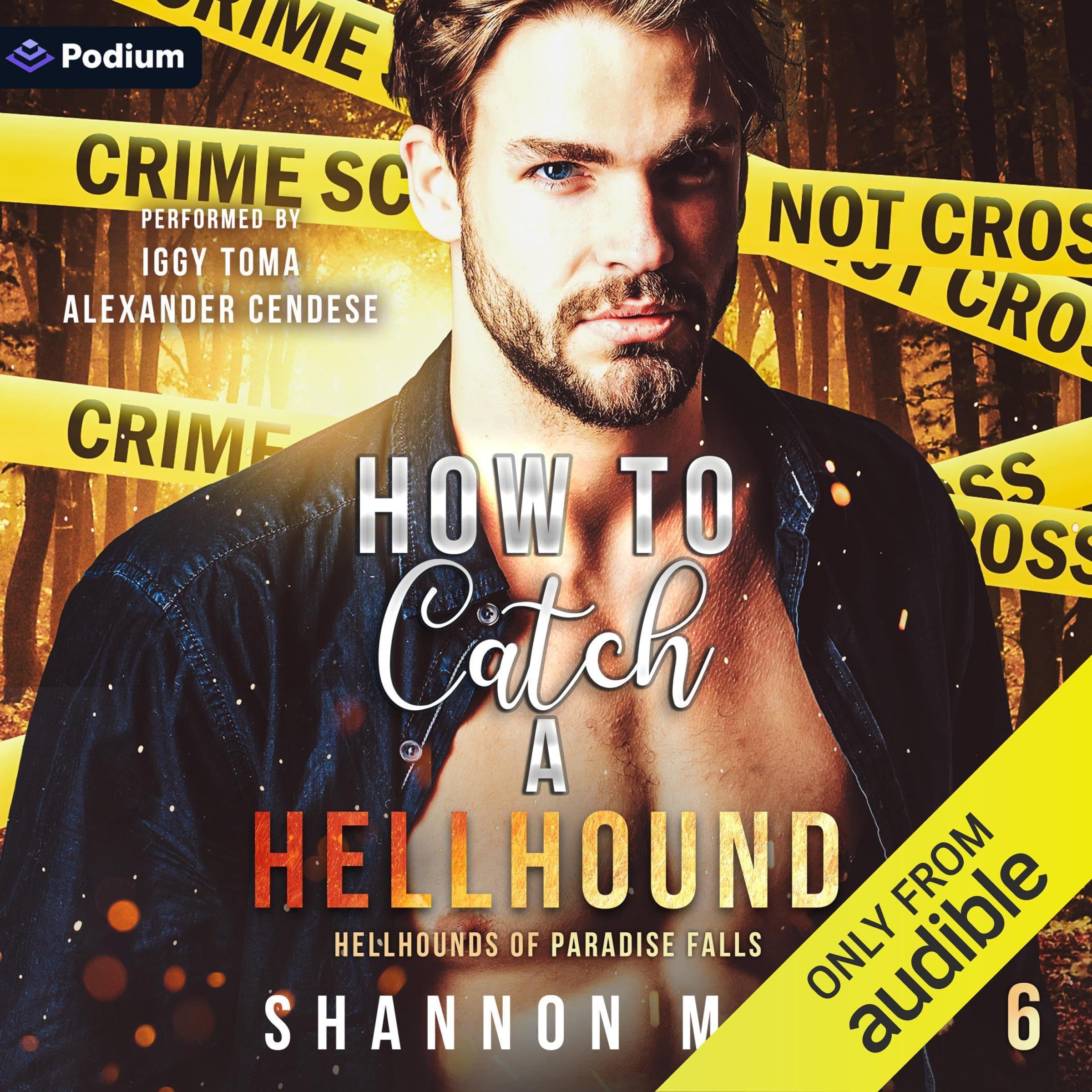 Cover art for How to Catch a Hellhound