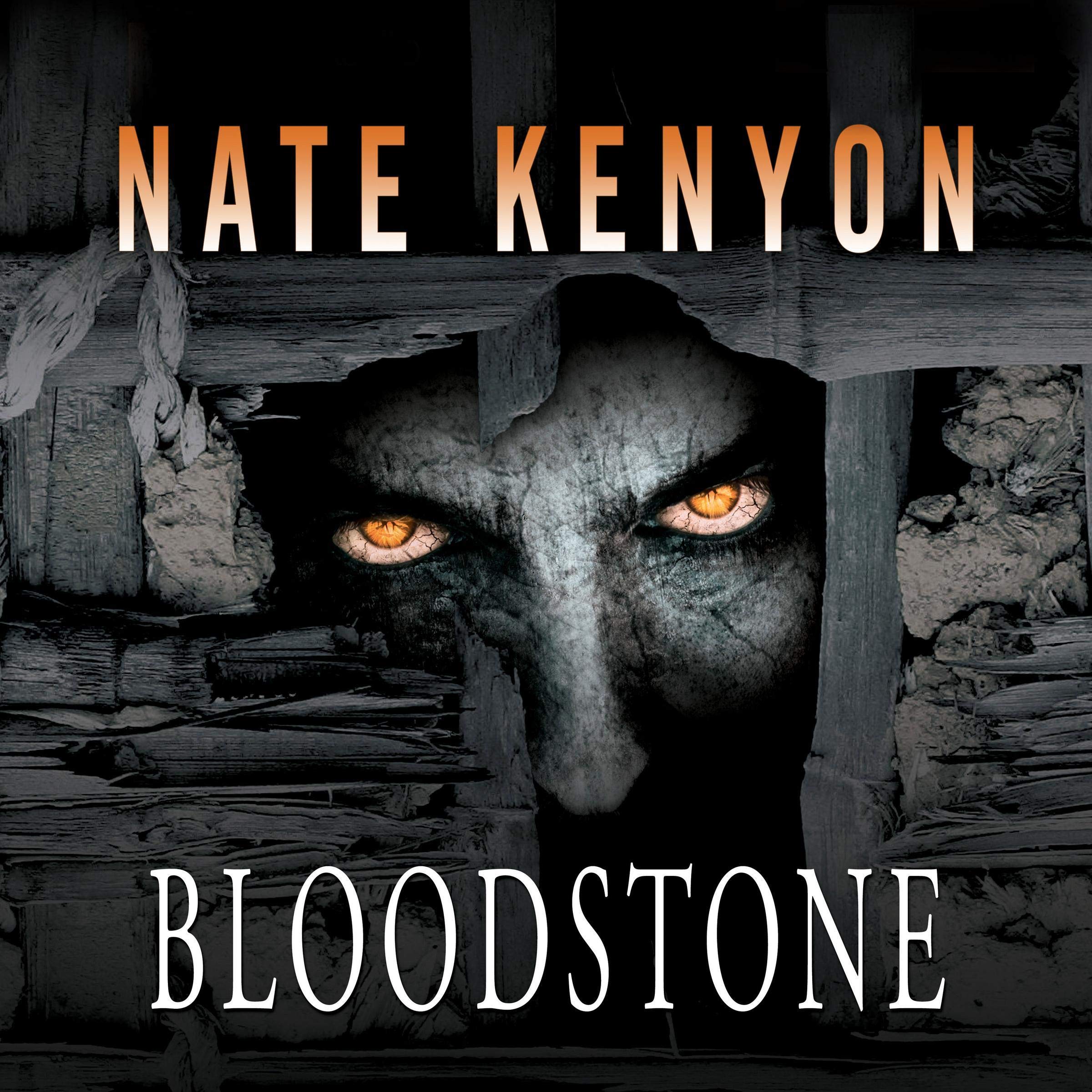 Cover art for Bloodstone