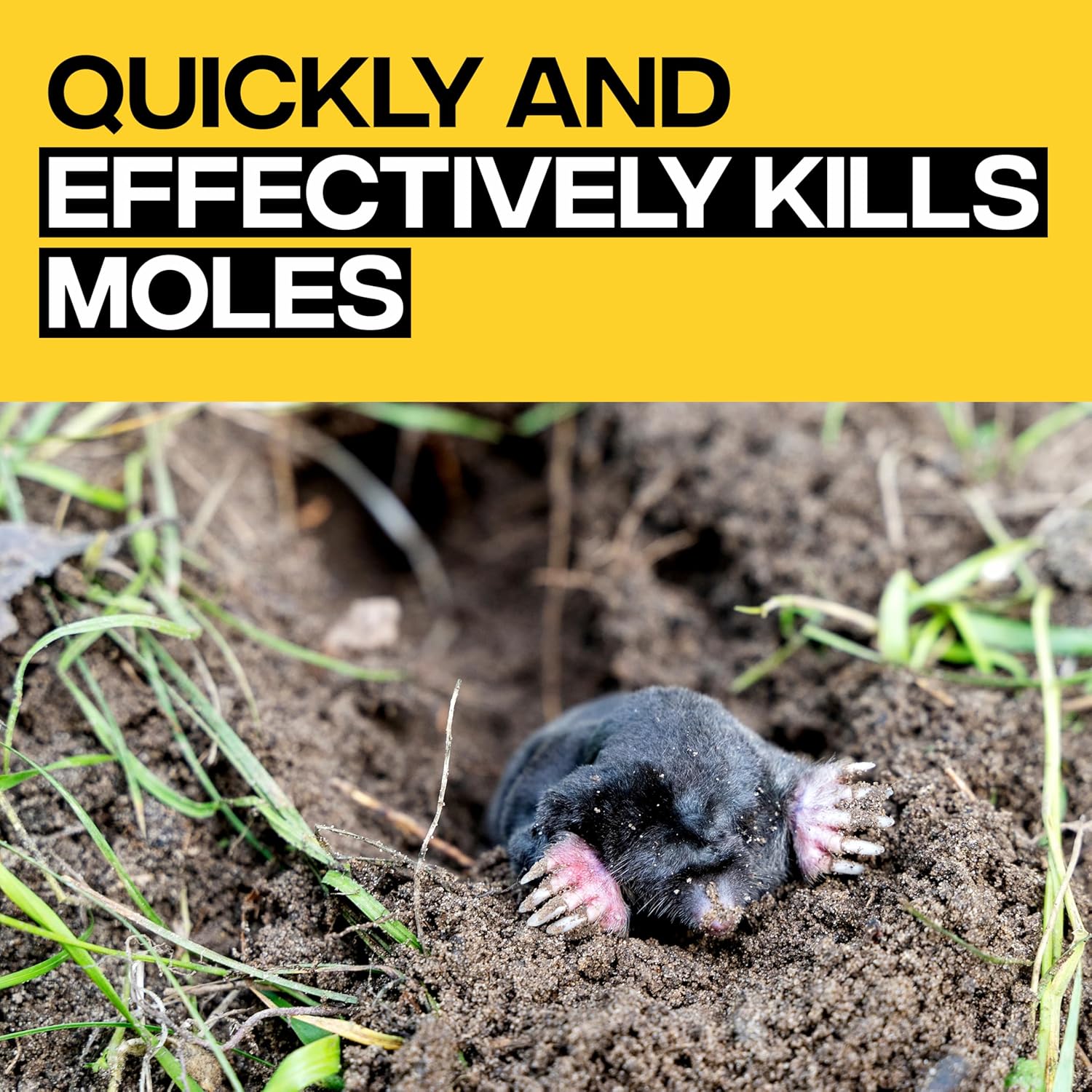 Victor Poison Moleworms - M6009 - 10 Worms, 5 Tunnel Locator Flags - Kills Moles Outdoors