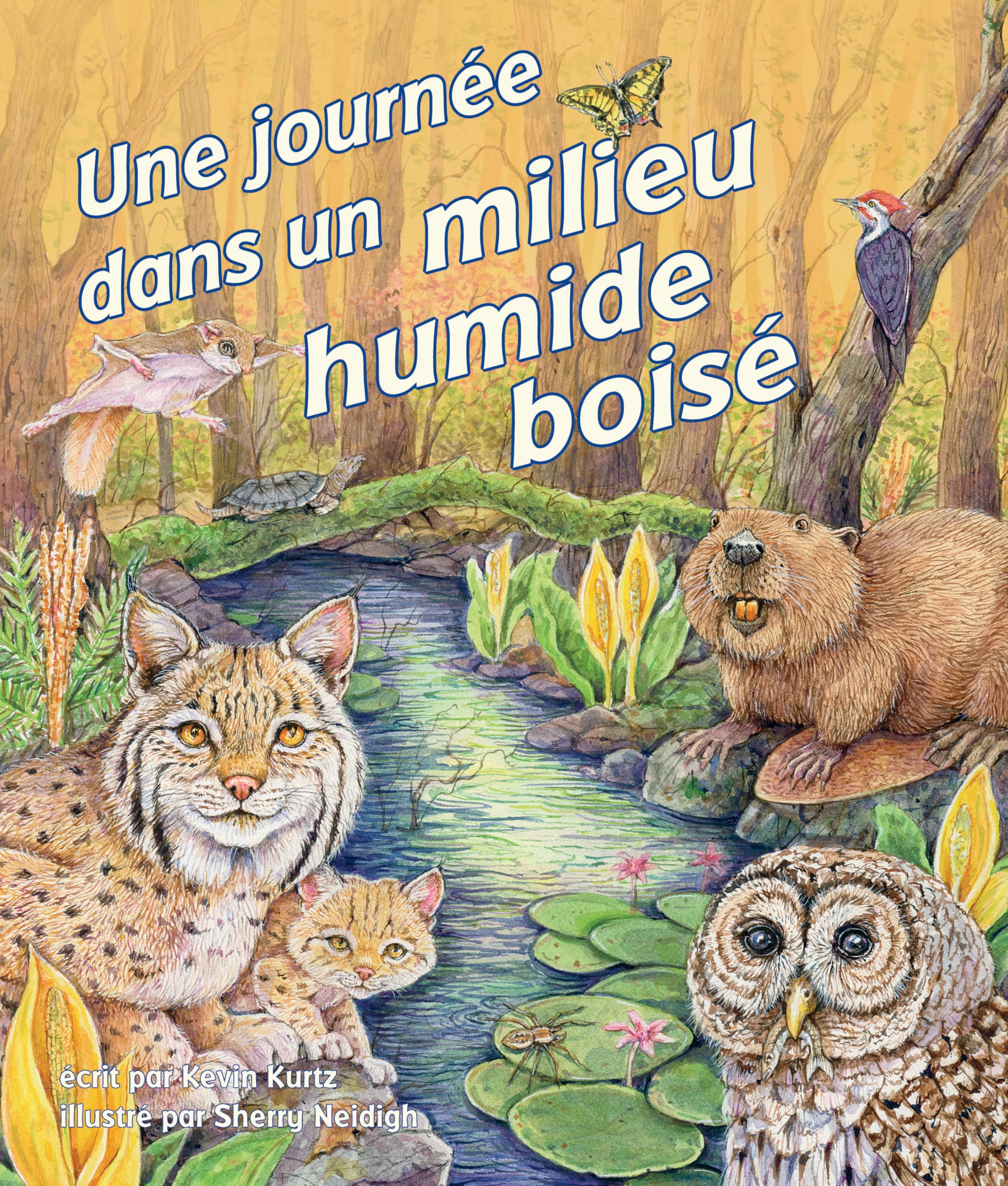 Une Journée Dans Un Milieu Humide Boisé: (A Day in a Forested Wetland in French) Paperback – 1 Mar. 2019