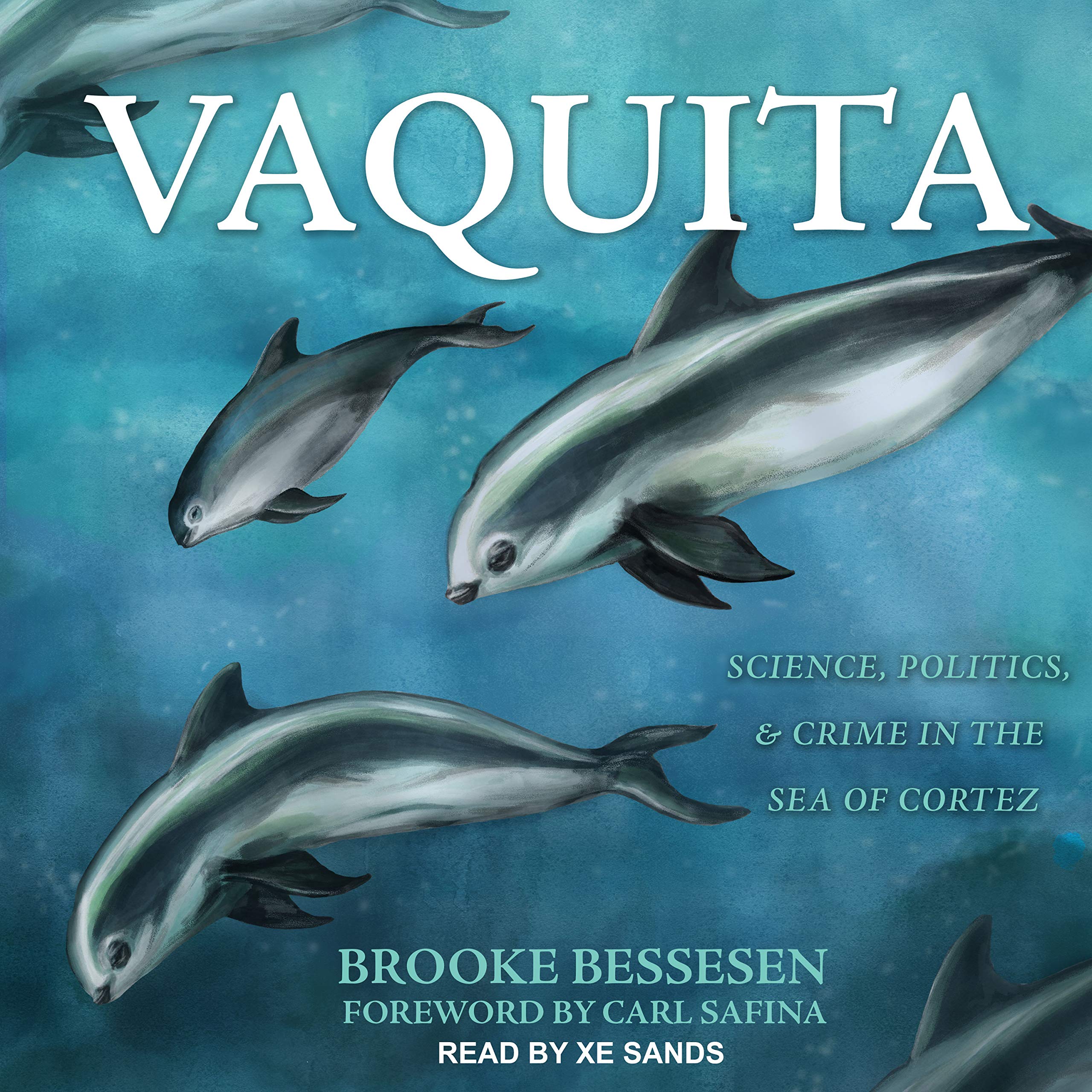 Cover art for Vaquita