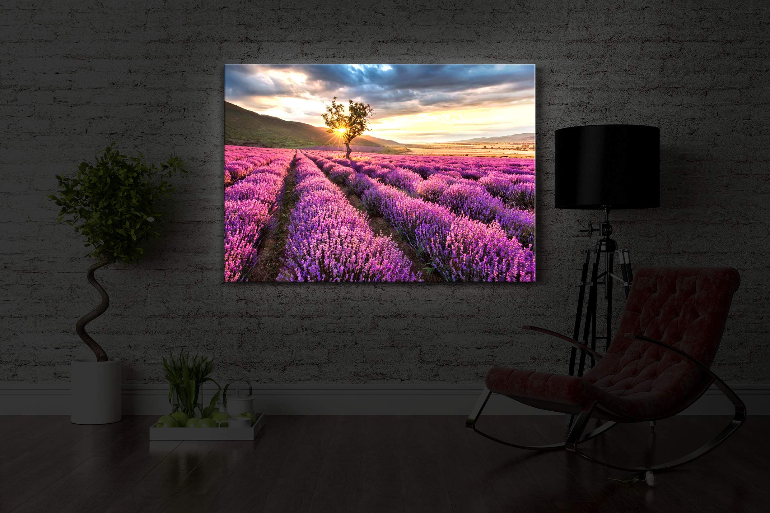 LED Leuchtbild Provence mit einsamen Baum 80x60 cm Front Lighted