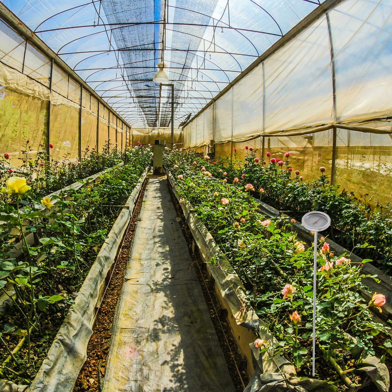 BESPORTBLE 2pezzi Termometro Per Terreno Acciaio Inossidabile Strumento Da Giardinaggio Per Misurazione Temperatura Compost Facile Da Usare e Pratico Per Piante e Accessorio Per