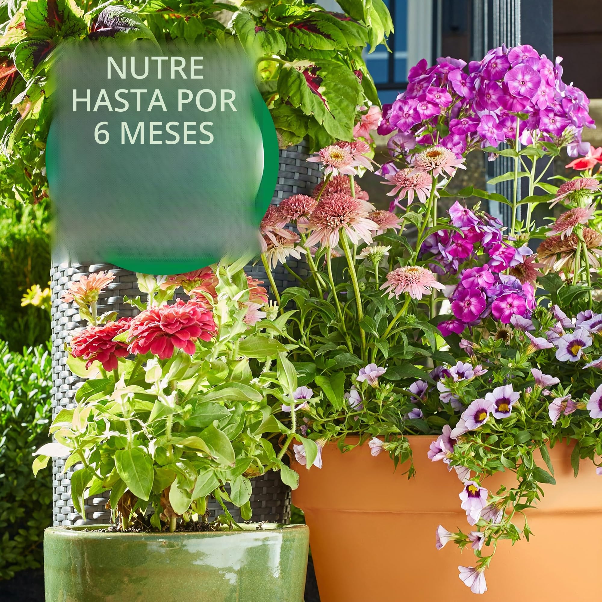 Osmocote Smart-Release Plant Food Plus - Fertilizante granular para exteriores e interiores, con 11 nutrientes esenciales, 2 libras. | Fertilizante granular de liberación continua para plantas con 11 nutrientes esenciales