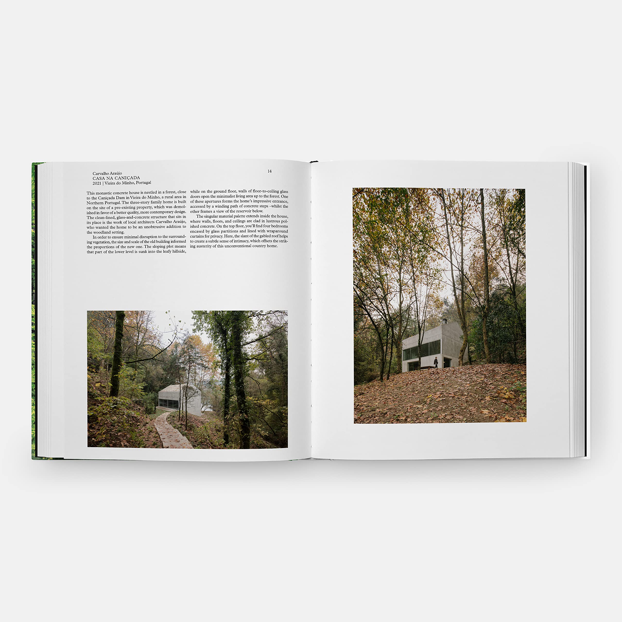 Living in the forest: Contemporary Houses in the Woods