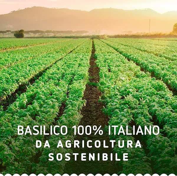 Barilla Pesto con Basilico e Limone, Senza Glutine, Sugo Pronto per Pasta Gustoso e Fresco, 190 g - 5