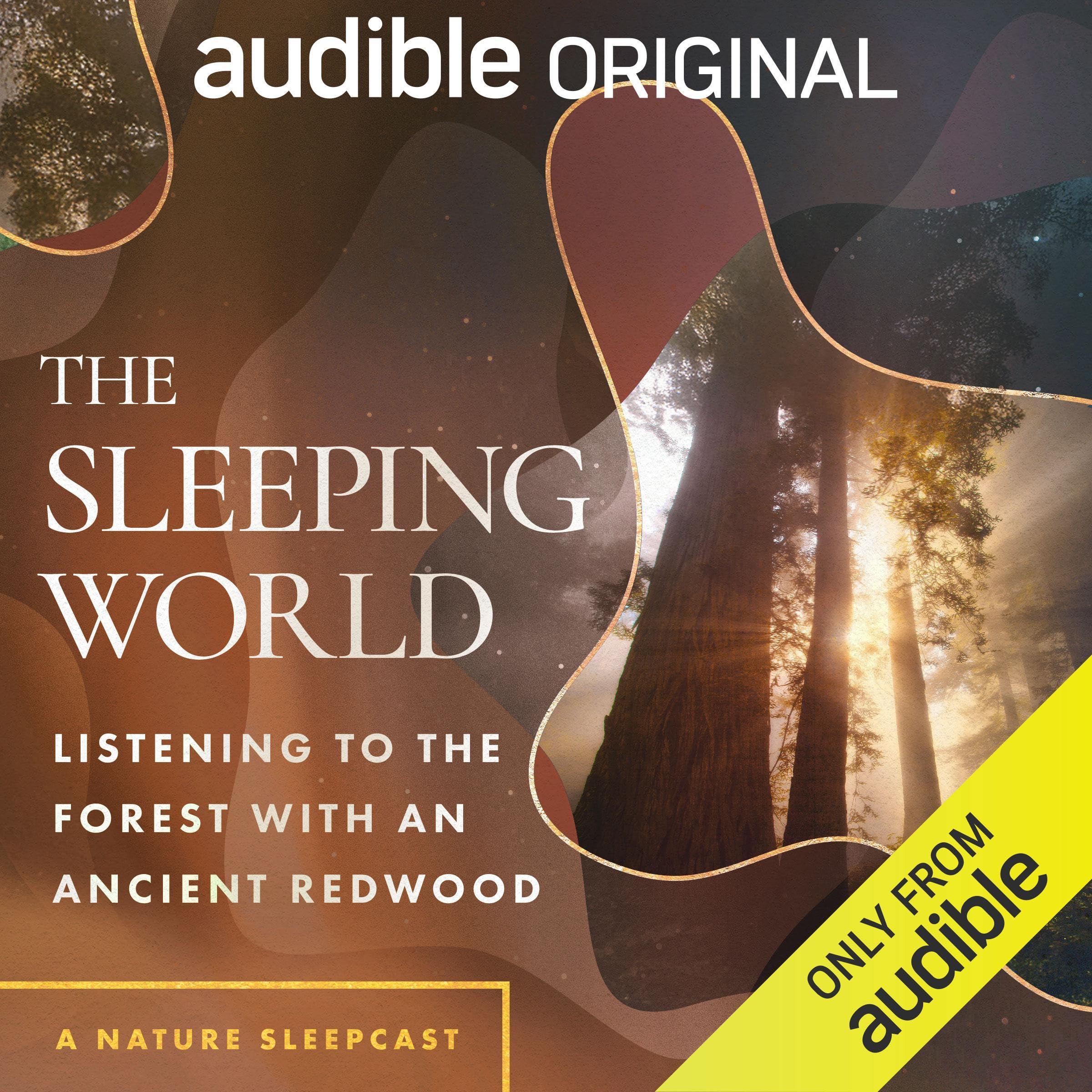 Cover art for The Sleeping World: Listening to the Forest with an Ancient Redwood