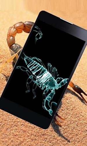 Body X Ray Scanner