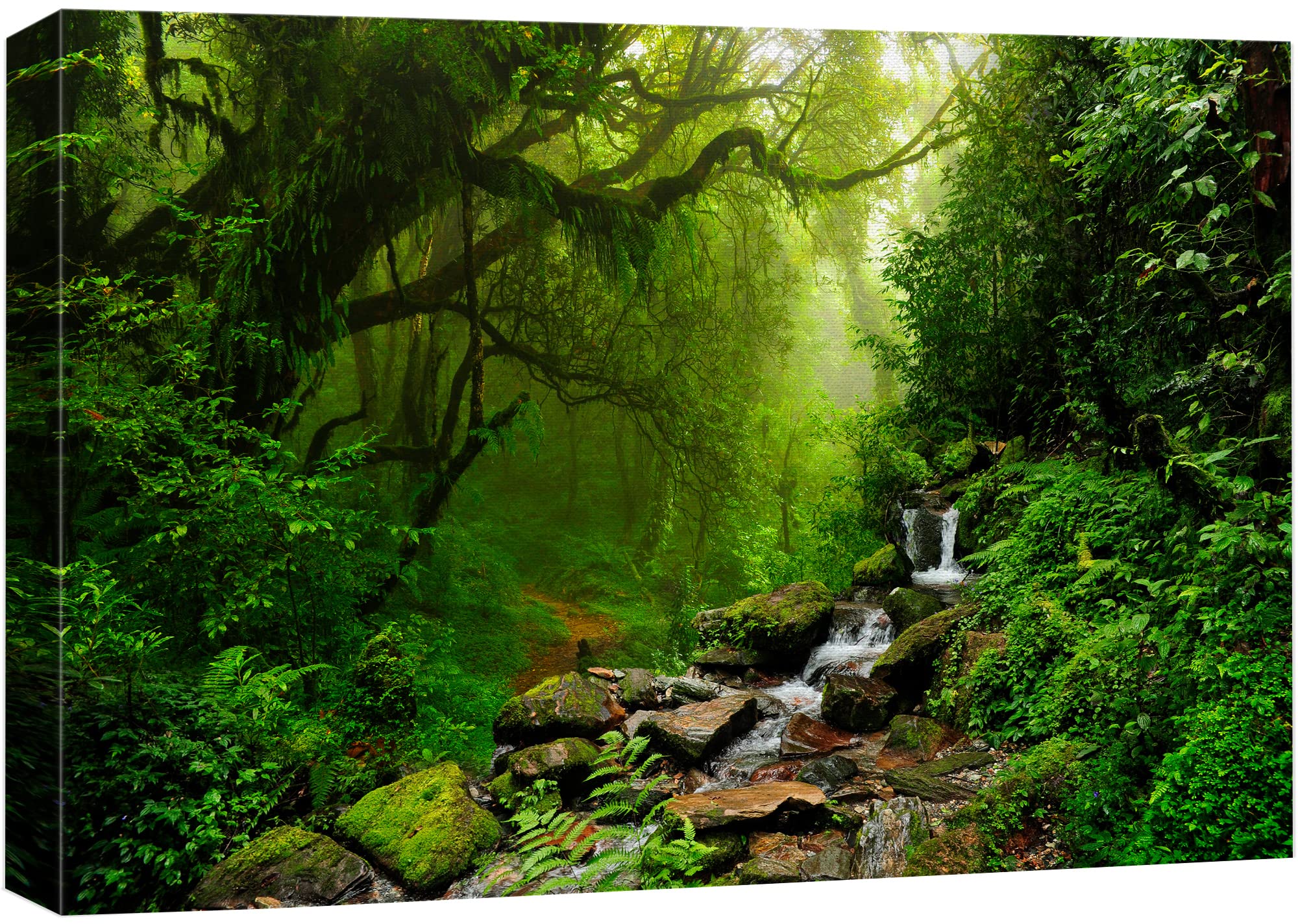 Amazon.com: wall26 Canvas Print Wall Art Nepal Green Forest
