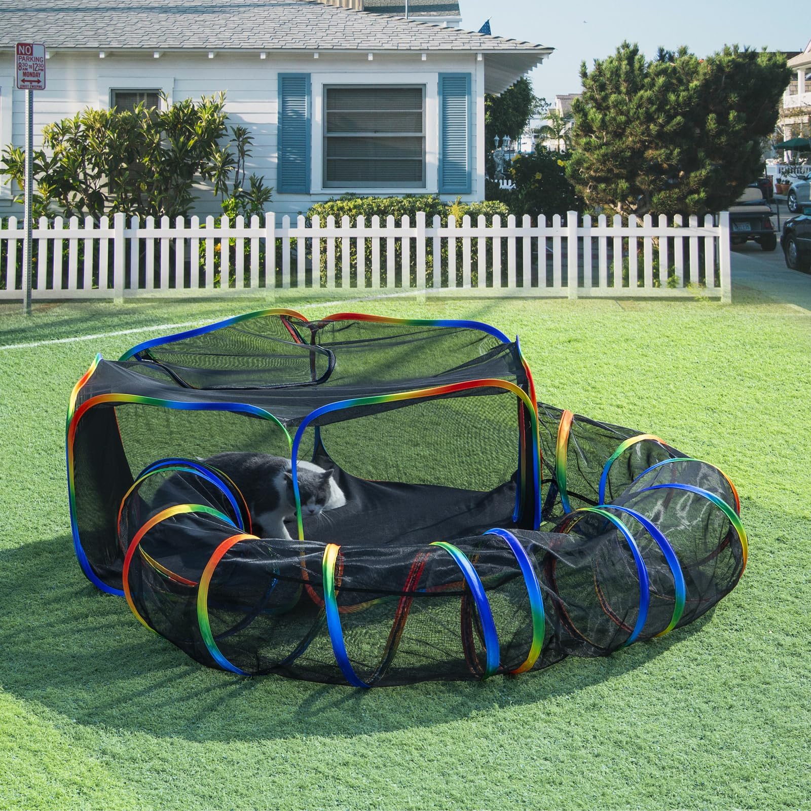 Large Cat Tunnel Outdoor Rainbow Clolor