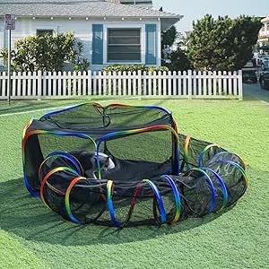 LUCKITTY Outdoor Rainbow Cat Enclosures Playground,Outside House for Indoor Cats Include Portable Tent, Circle Cat Playpen Tunnel Catio, for Cats, Kitty and Small Animals,Within Storage Bag