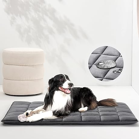 Allisandro Premium Dog Mat: Snoozing Sanctuary for Your Furry Friend