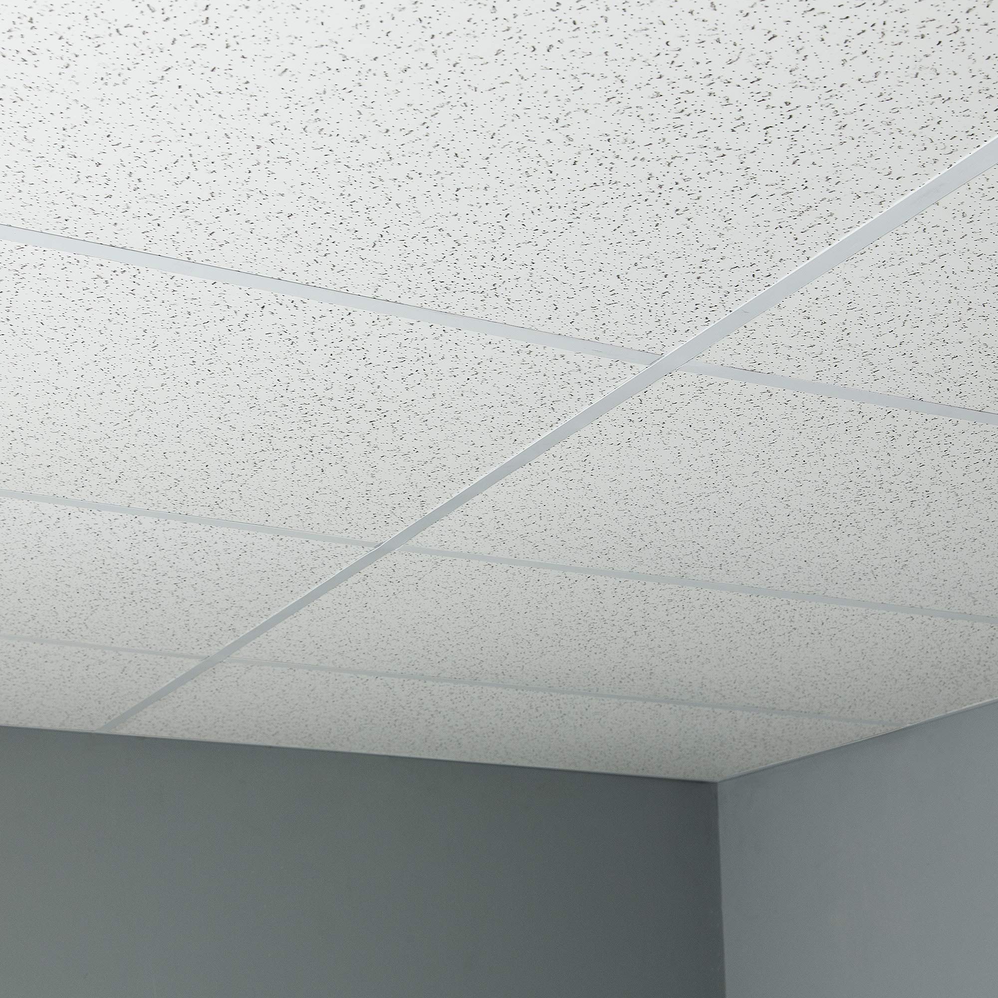 Genesis 2ft x 4ft Printed Pro Ceiling Tiles - Easy Drop-in Installation -Waterproof, Washable and Fire-rated - High-Grade PVC to Prevent Breakage - Package of 10 Tiles