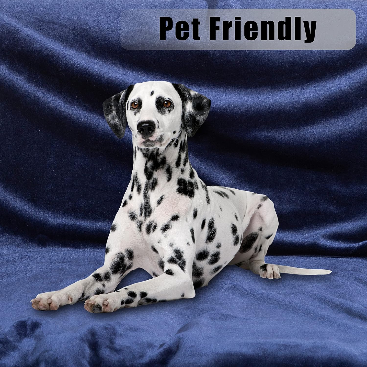 7-Dreamland Fleece Blanket Queen Size Super Soft Fuzzy Warm Lightweight Blankets for Sofa Couch, Bed Camping Travel 90x90 Inches, Navy : Home & Kitchen