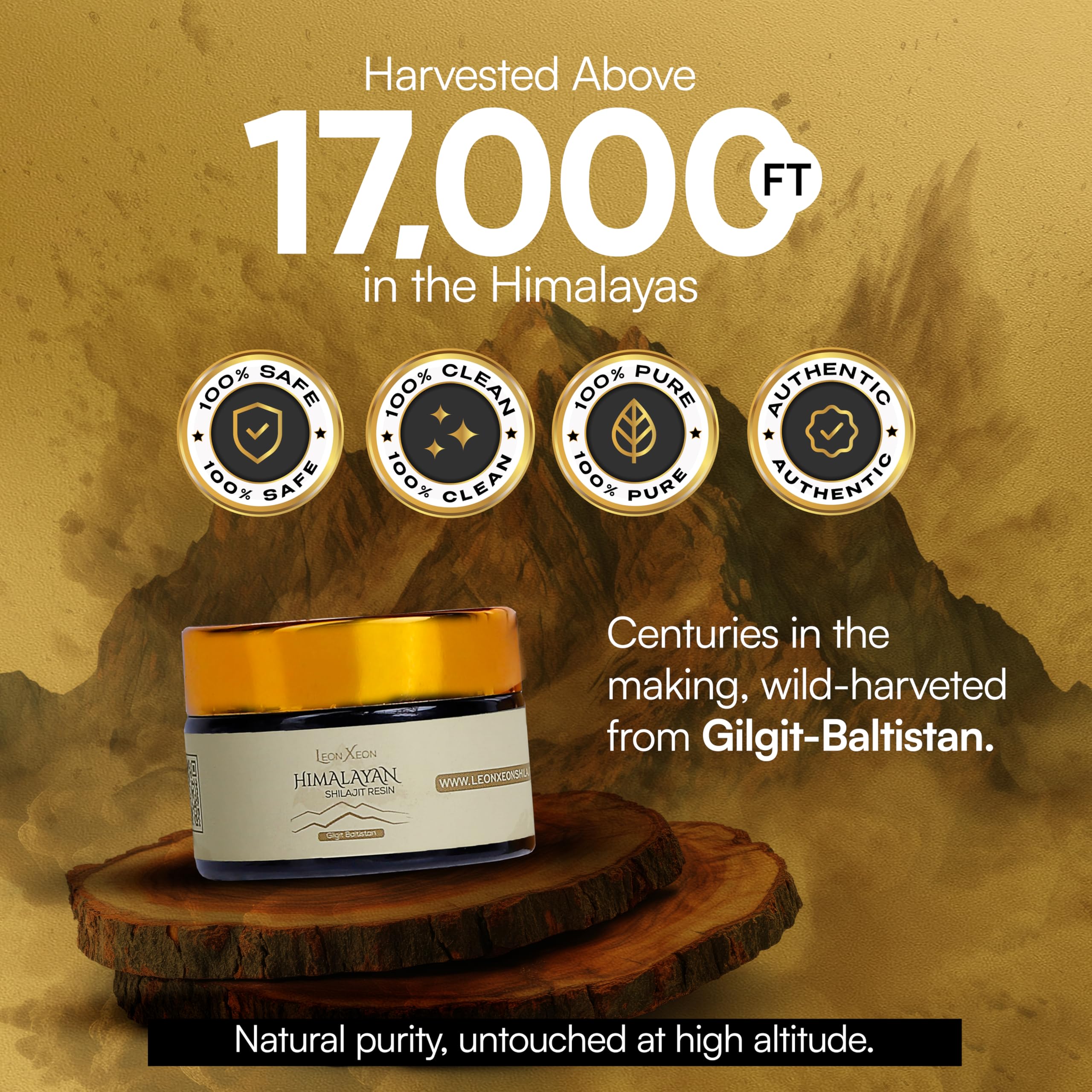 Resina di Shilajit Himalayano 30 g – Gold Grade, 100% Pura & Naturale, Ricca di Acidi Fulvici & Umici, 85+ Minerali & Oligoelementi, Supporto Immunitario & Vitalità