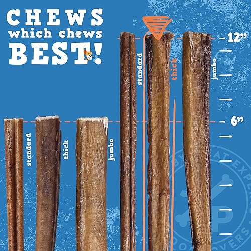Miniatura 4 de Jack&Pup Bully Sticks de 12 pulgadas para perros grandes  Palitos gruesos sin olor para todos los perros  Todos los masticables naturales de larga