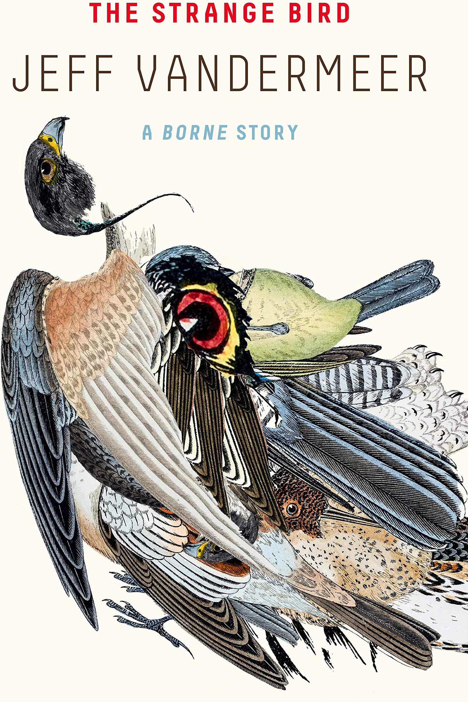 Strange Bird: A Borne Story