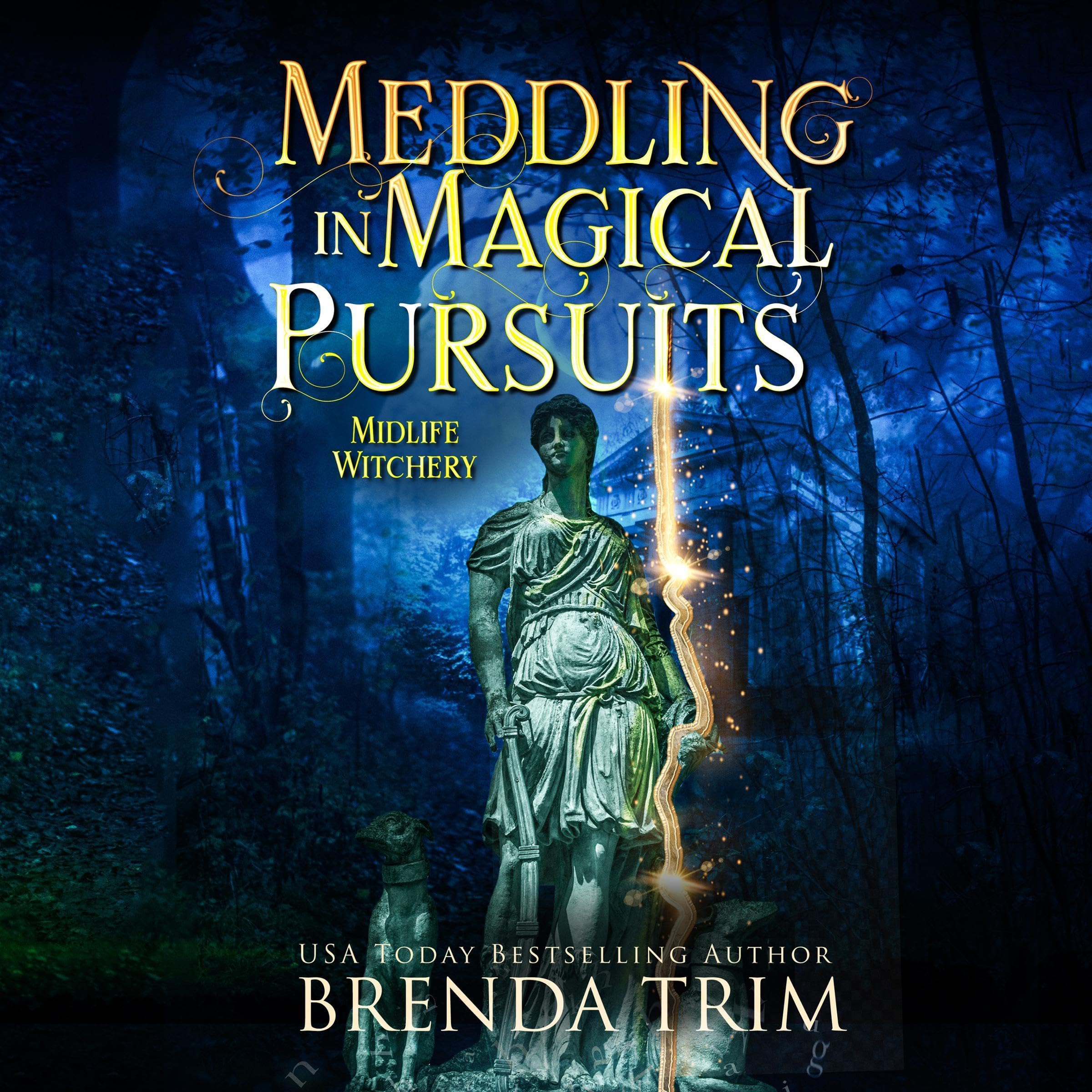 Cover art for Meddling in Magical Pursuits